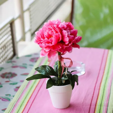 Deti Apartment *